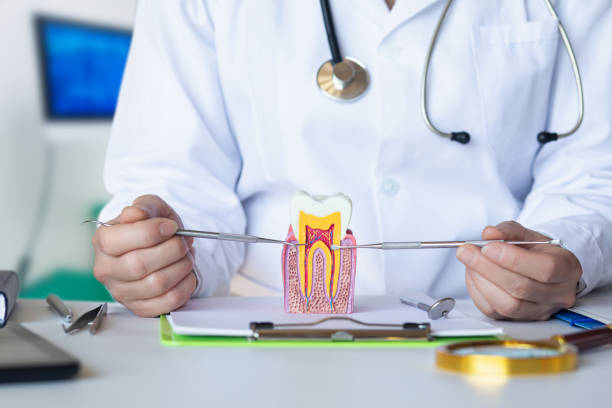 Best Urgent Care for Lost Fillings or Crowns in Hastings, MI